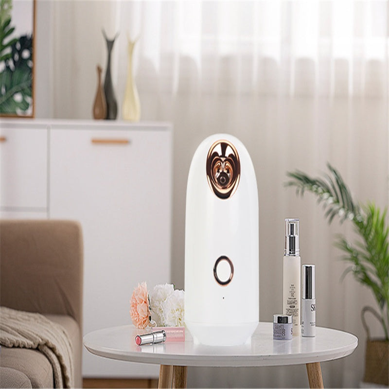 Portable Nano Mist Facial Steamer