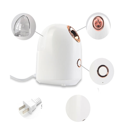 Portable Nano Mist Facial Steamer